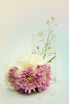 Bouquet of Flowers in a Glass on Pastel background