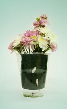 Bouquet of Flowers in a Glass on Pastel background