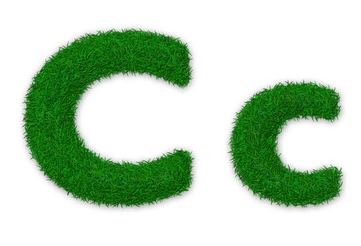 Illustration of capital and lowercase letter C made of grass