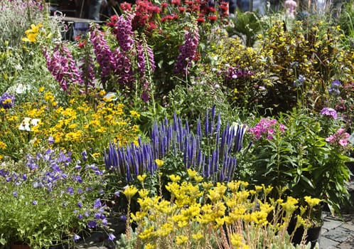 Outdoor flower market, multicoloured flowers