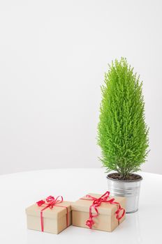 Little green tree and elegant gift boxes with red ribbons.