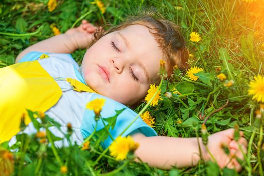 Closeup portrait of a little baby boy sleeping outdoors on grass.