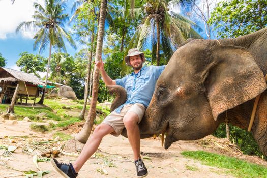 Domesticated elephan lifting a tourist with his trunk.