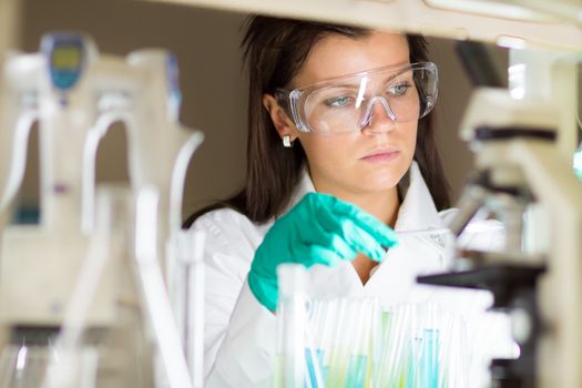 Chemical laboratory scene: attractive young PhD student scientist observing the blue indicator color shift after the solution  destillation.