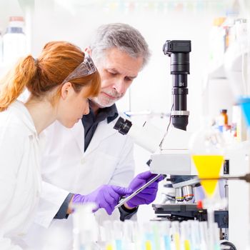 Attractive young female scientist and her senior male supervisor checking experiment protocol at tablet laptop computer in the life science research laboratory (bichemistry, genetics, forensics, microbiology..)