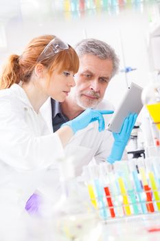 Attractive young female scientist and her senior male supervisor checking experiment protocol at tablet laptop computer in the life science research laboratory (bichemistry, genetics, forensics, microbiology..)