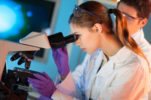 Attractive young scientist and her post doctoral supervisor looking at the microscope slide in the forensic laboratory.