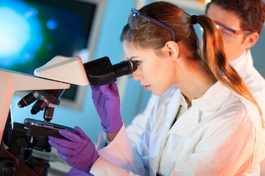 Attractive young scientist and her post doctoral supervisor looking at the microscope slide in the forensic laboratory.