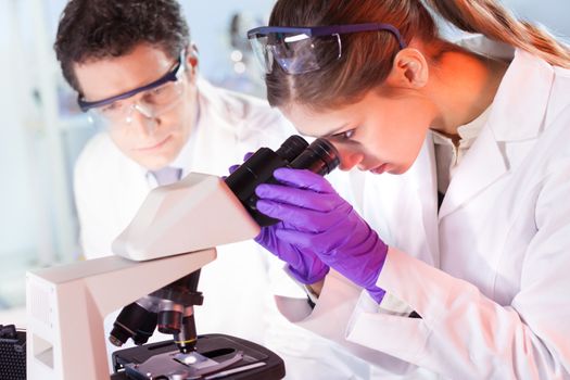 Attractive young scientist and her post doctoral supervisor looking at the microscope slide in the forensic laboratory.