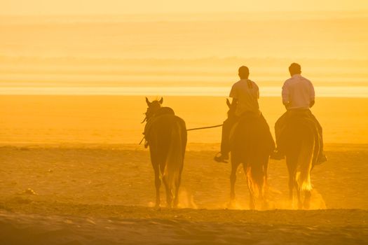 Man horse riding on the beach at sunset.