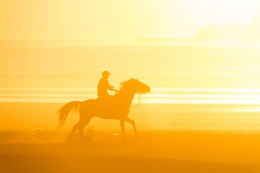 Man riding horse on the beach at sunset.