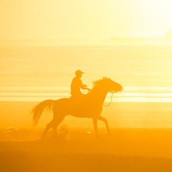 Man riding horse on the beach at sunset.