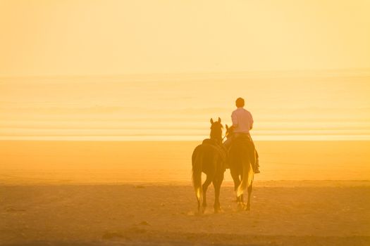 Man horse riding on the beach at sunset.