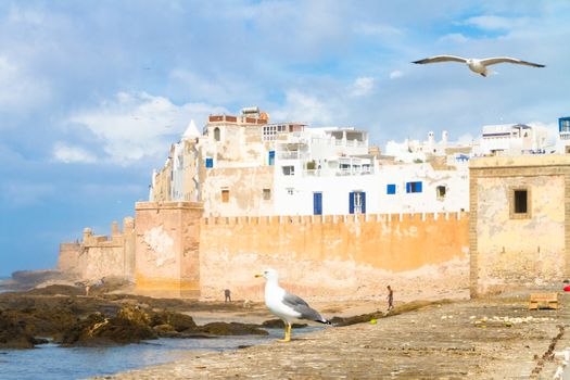 Essaouira is a city in the western Moroccan economic region of Marrakech Tensift Al Haouz, on the Atlantic coast. It has also been known by its Portuguese name of Mogador. Morocco, north Africa.