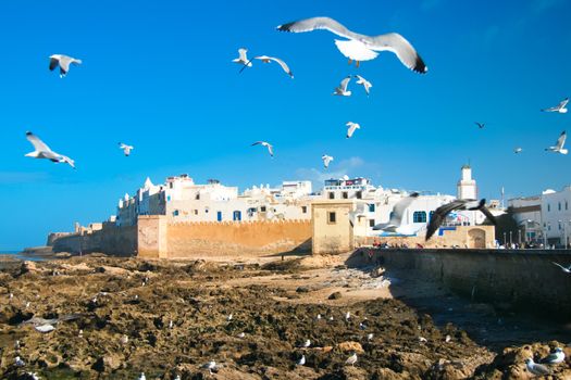 Essaouira is a city in the western Moroccan economic region of Marrakech-Tensift-Al Haouz, on the Atlantic coast. Since the 16th century, the city has also been known by its Portuguese name of Mogador or Mogadore. Morocco, north Africa.