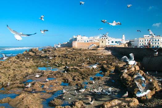 Essaouira is a city in the western Moroccan economic region of Marrakech-Tensift-Al Haouz, on the Atlantic coast. Since the 16th century, the city has also been known by its Portuguese name of Mogador or Mogadore. Morocco, north Africa.