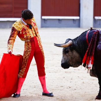 MADRID - JUNE 25: Novilladas in Las Ventas. Novillero: Francisco Montiel. Bulfighting has been prohibited in Catalunia since 2011 for animal torturing. June 25, 2011 in Madrid (Spain)