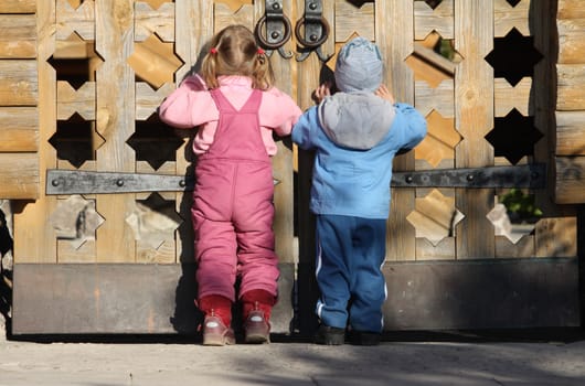 Children looking through the wooden gates