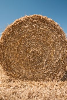 Close up of the golden straw bale in summer.