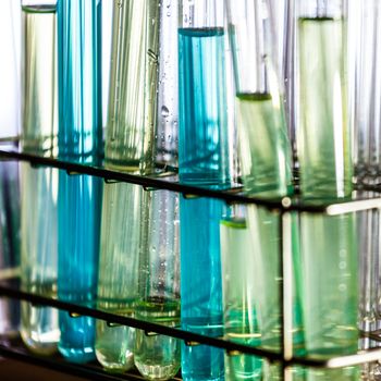 Laboratory glass test tubes filled with liquid chemical on a rack for an experiment in a science research lab.