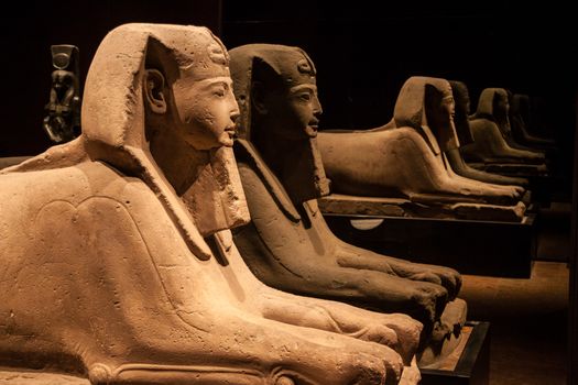 Sphinx - these are some of the exponats from The Egyptian Museum of Turin (the second in the world after the Cairo Museum) which was established in 1824.