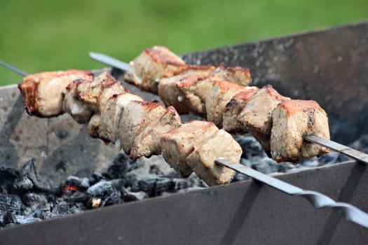 Meat slices prepared at the barbecue