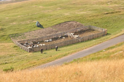 Small farm on a meadow