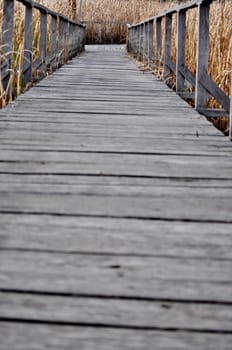 Path covered by wood