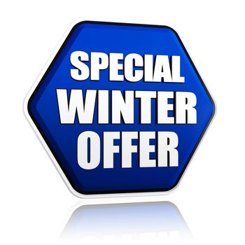 special winter offer in 3d blue hexagon banner with white text, business seasonal concept