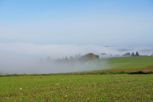 Nebel zieht aus dem Tal über die Felder