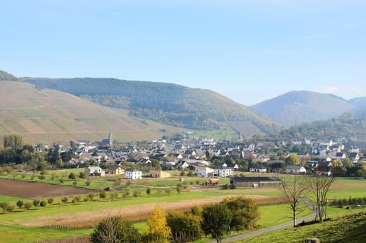 Weinort Veldenz bei Mülheim an der Mosel