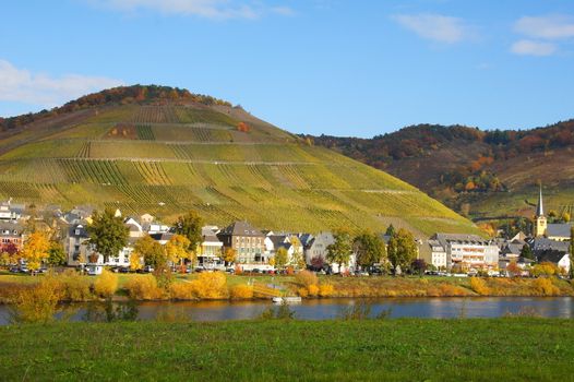 Zeltingen an der Mosel im Herbst
