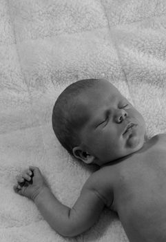 precious sleeping baby taking a nap in black and white