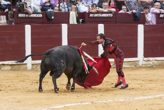 Ubeda, Jaen province, SPAIN - 3 october 2010: Spainish bullfighter Rafaelillo bullfighting stabbing a bull in the Bullring of Ubeda, Jaen province, Andalusia, Spain