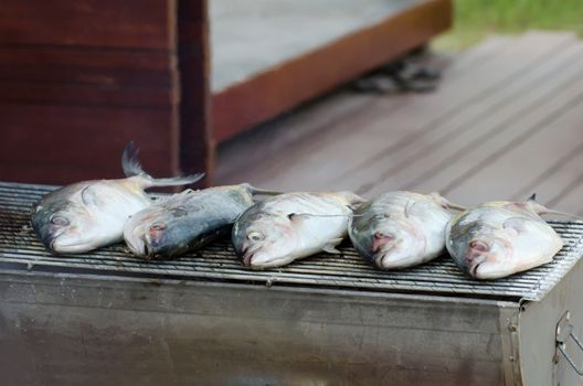 fish grill on grilling sticks , seafood Barbeque