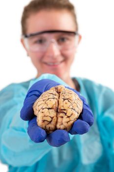 Female pathologist or medical technologist holding a brain in her hand extended towards the camera, isolated on white