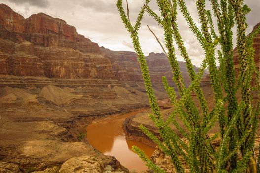 Las vegas Grand Canyon colorado river red with big wall