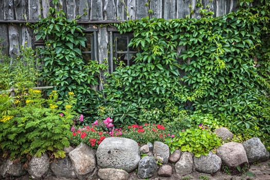 Old small wooden cottage and stone wall with flowers