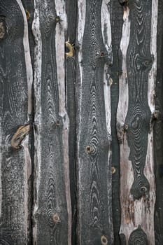Background texture of old wooden lining boards wall