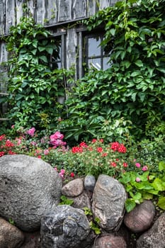 Old small wooden cottage and stone wall with flowers
