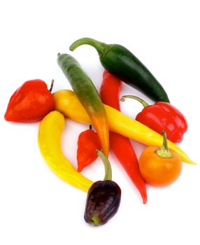 Heap of Various Chili Peppers with Rawit, Fresno, Orange and Red Habanero, Green Jalapeno, Red and Black Santa Fee and Dutch Chili isolated on white background