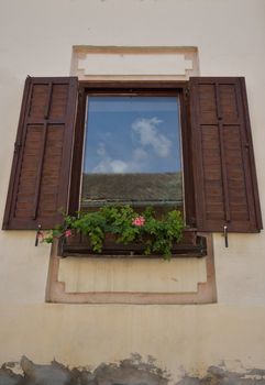 Window with flowers on wall of the house