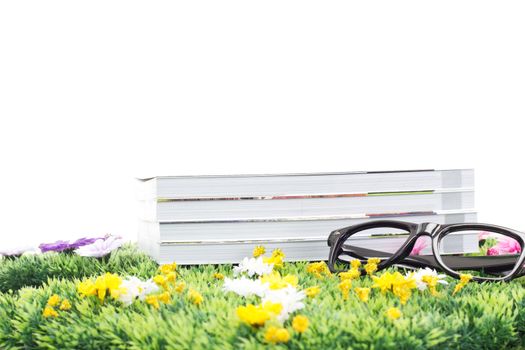 Do you love reading books in the sunshine?