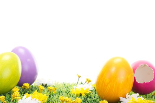 Have you seen the chick from the pink Easter egg?