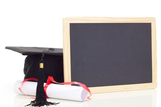 Do you know what to study at the university?