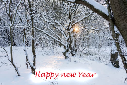 sun shining through the trees in winter landscape with snow and text happy new year