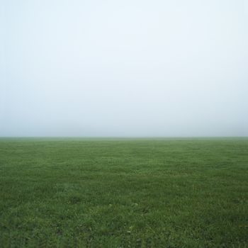 Autumn filed with green grass and fog