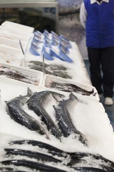 Fresh fish on ice