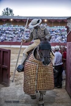 Baeza, Jaen province, SPAIN - 15 august 2010: Picador bullfighter, lancer whose job it is to weaken bull's neck muscles, going out of the bullring on having finished its work in the spectacle in Baeza, Jaen province, Andalusia, Spain