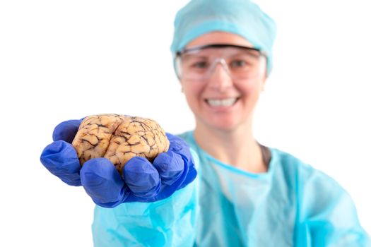 Female pathologist or medical technologist holding a cow brain in her hand extended towards the camera, isolated on white